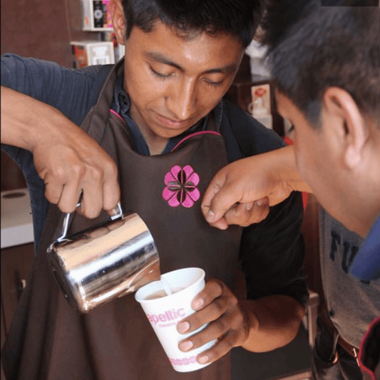 Capeltic Origin Roasted Gourmet Coffee (1 lb/.45 kg)
