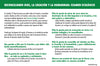 Ecological Examen Prayer (Spanish) - Pines (Pack of 25)