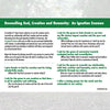 Ecological Examen Prayer (English) - Pines (Pack of 25)