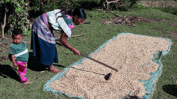 What Makes Capeltic Coffee unique?