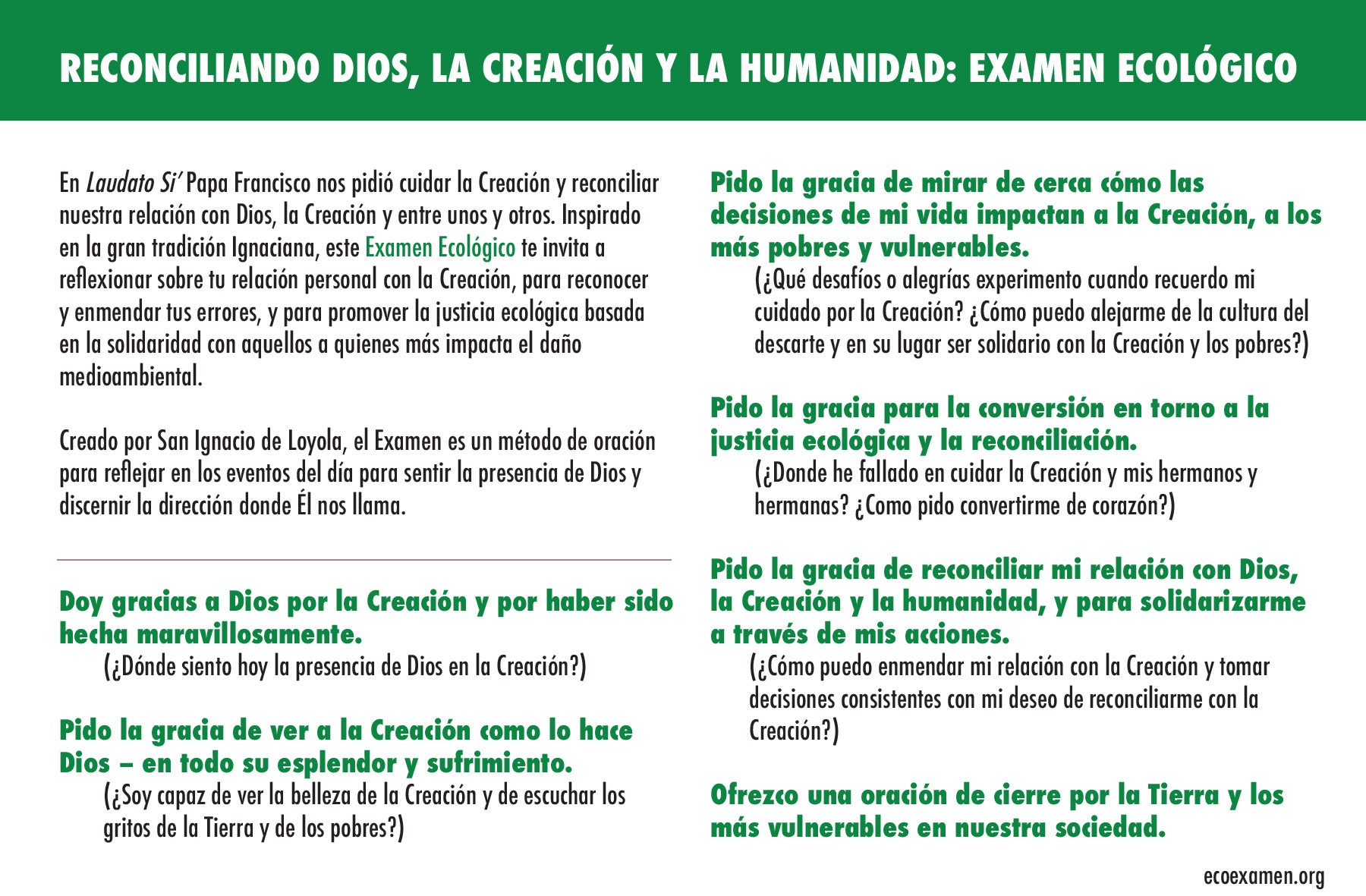 Ecological Examen Prayer (Spanish) - Pines (Pack of 25)