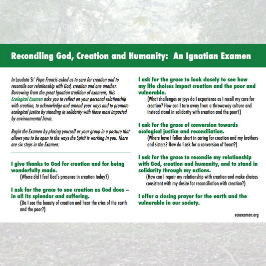 Ecological Examen Prayer - Starlight (Pack of 25)