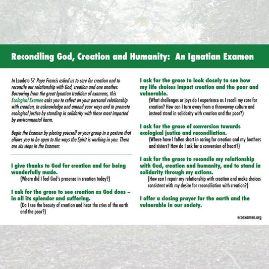 Ecological Examen Prayer (English) - Pines (Pack of 25)